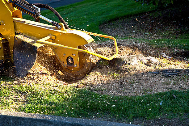 Mulching Services in Woodhaven, MI